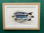 Aquarelle “Sardines 4”